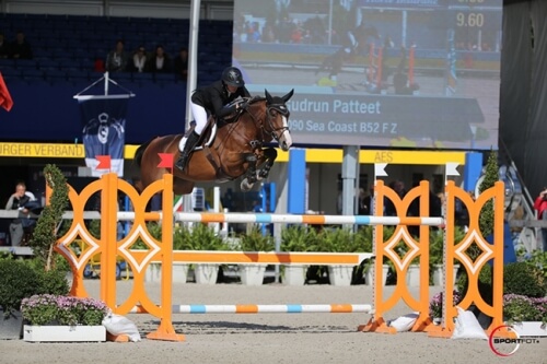 Daughter of Bamako de Muze winner à Bolesworth !