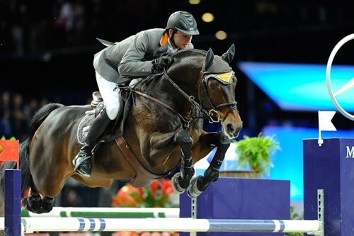New Top Stallion available : Satisfaction !