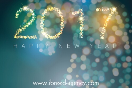 Bonne année 2017 !