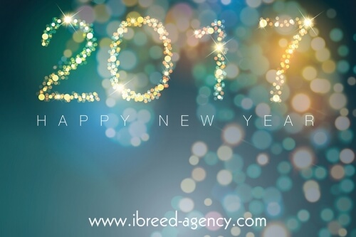 Happy New Year 2017 !