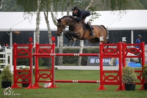 Malito de Reve and Querlybet Hero at Doha !