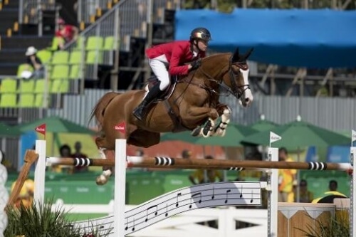 Malito de Reve son winner at Lier !