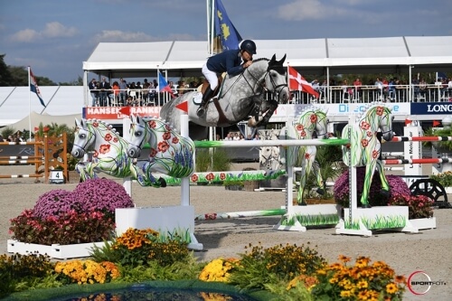 El Torreo de Muze, BWP Elite Stallion !
