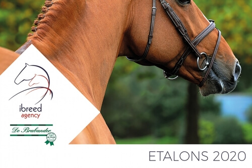 Le catalogue 2020 est en ligne !