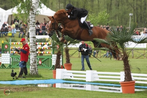 Un fils de Vigo d'Arsouilles au Mondial du Lion !