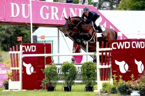 La jeune production d'Elvis Ter Putte confirme !