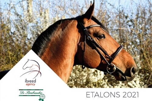 Le catalogue 2021 est en ligne !