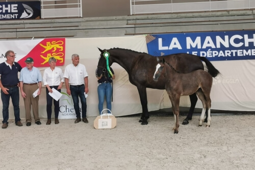 Une fille d'Hoover victorieuse à Saint-Lô !