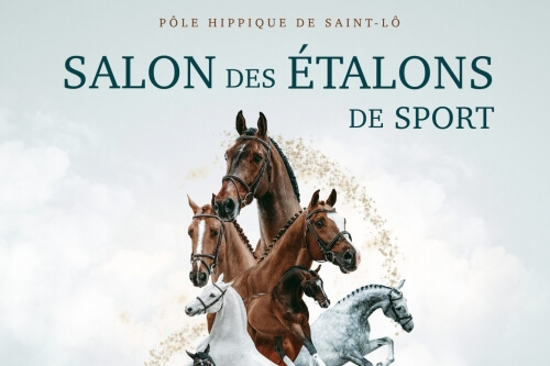 Salon des étalons de Saint Lô !