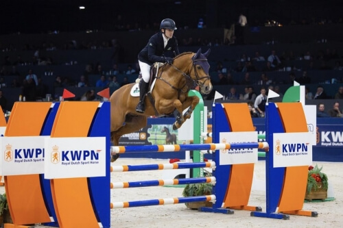 Un fils de Scendro gagne au KWPN !