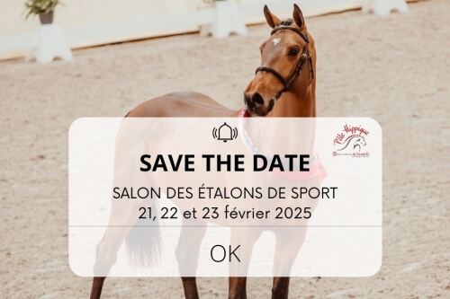 Salon des Etalons 2025 !