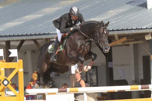 Un fils de Scendro gagne à Ocala !